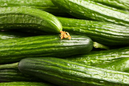 Fresh cucumbers as background, closeupの写真素材
