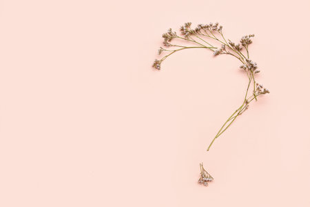 Question mark made of flowers on beige backgroundの写真素材