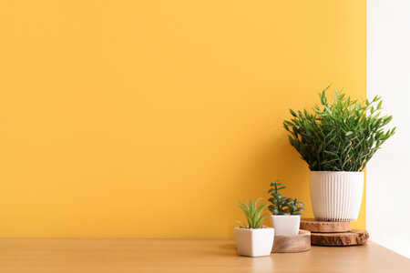 Artificial plants on table near color wallの写真素材