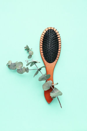 Hair brush with eucalyptus branch on mint backgroundの写真素材