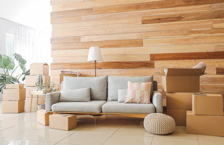 Cardboard boxes with accessories and sofa in new flat on moving dayの写真素材