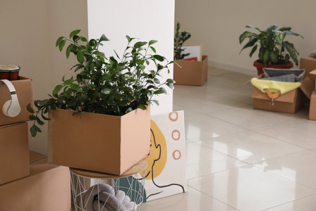 Cardboard boxes with accessories in new flat on moving dayの写真素材