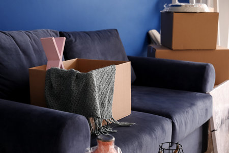 Moving box with accessories on sofa in new flatの写真素材