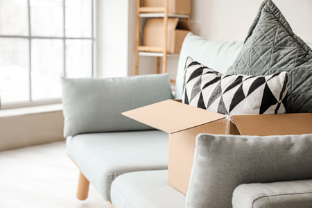 Moving box with accessories on sofa in new flatの写真素材