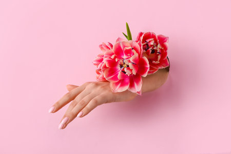 Female hand with tulips visible through hole in pink paperの写真素材