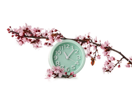 Blooming spring branches and clock on white backgroundの写真素材