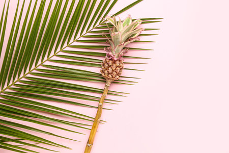 Decorative pineapple with palm leaf on pink background