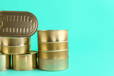Tin cans with fish on turquoise background