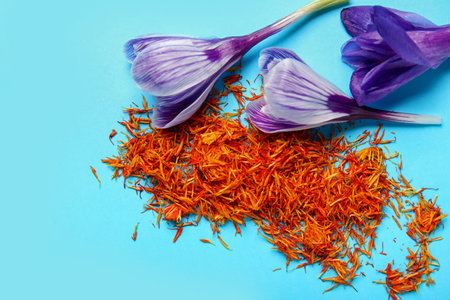 Heap of dried saffron threads and crocus flowers on blue background
