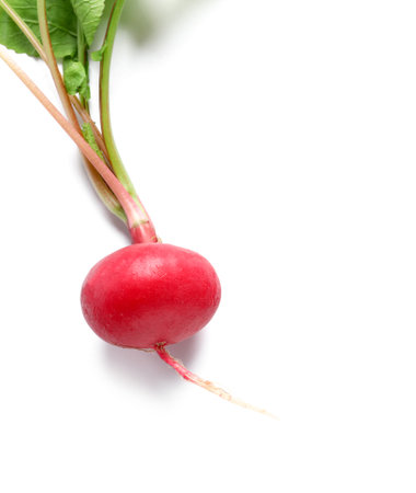 Fresh radish with leaves on white backgroundの写真素材
