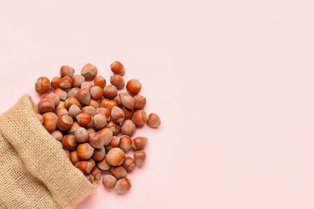 Sack bag with shelled hazelnuts on pink backgroundの写真素材
