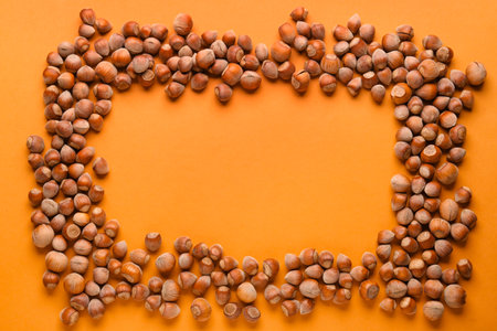Frame made of shelled hazelnuts on orange backgroundの写真素材