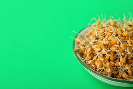 Bowl with sprouted wheat on green backgroundの写真素材