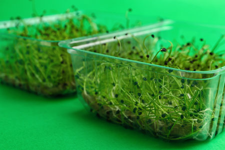 Plastic containers with fresh micro greens on color background, closeupの写真素材
