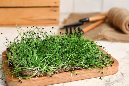 Wooden board with fresh micro green on tableの写真素材