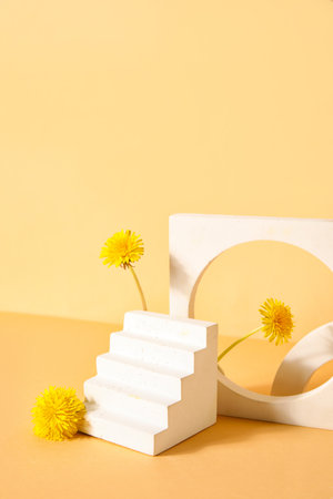 Decorative podiums with dandelion flowers on beige backgroundの写真素材