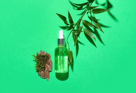 Bottle of cosmetic oil with eucalyptus twig, tree bark and moss on green backgroundの写真素材