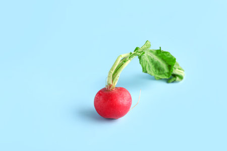 fresh radish with leaves on blue background