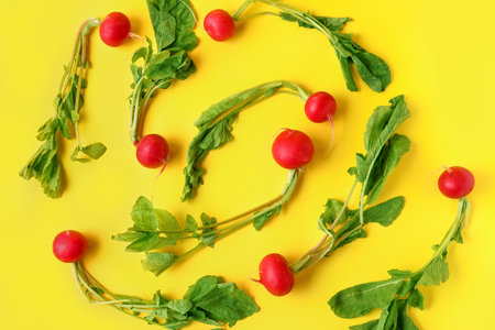 Texture of fresh radishes with leavesの写真素材