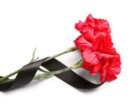 Two red carnations and black ribbon on white backgroundの写真素材