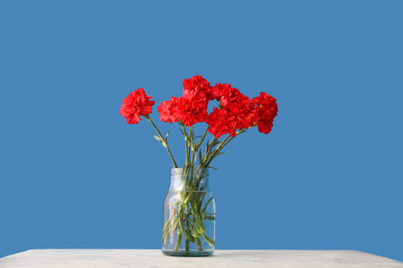 Vase with red carnations on white grunge table against blue wallの写真素材