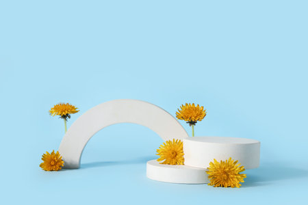 Decorative podiums with dandelion flowers on blue backgroundの写真素材