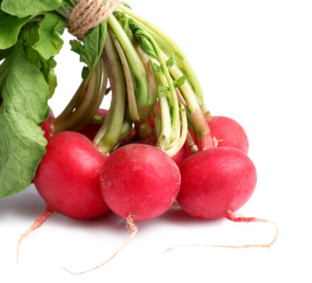 Fresh radishes with leaves on white backgroundの写真素材