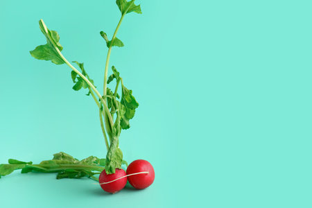 Fresh radishes with leaves on blue backgroundの写真素材