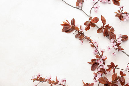 beautiful blossoming branches on light background