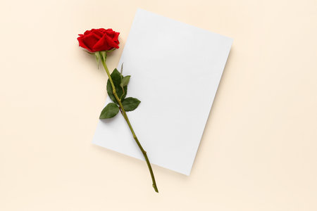 Beautiful red rose on light backgroundの写真素材