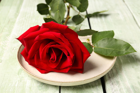 Plate with beautiful red rose on green wooden backgroundの写真素材