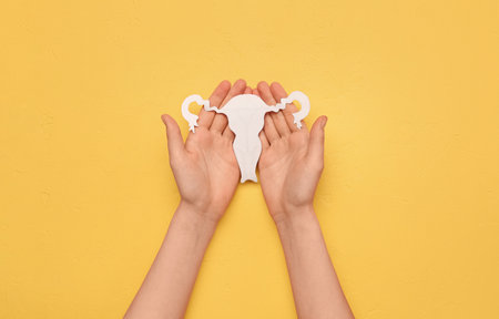 Woman with paper uterus on yellow background. Hormones conceptの写真素材