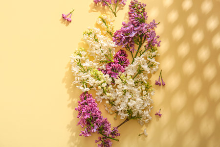 Blooming lilac flowers on beige backgroundの写真素材