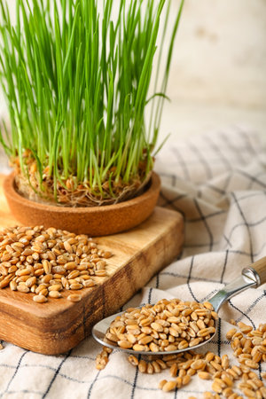 Fresh wheatgrass with spoon on white grunge tableの写真素材