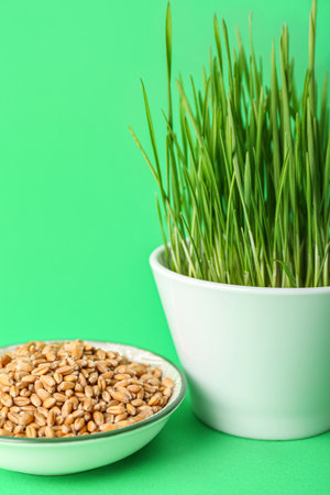 Fresh wheatgrass in bowl on green backgroundの写真素材
