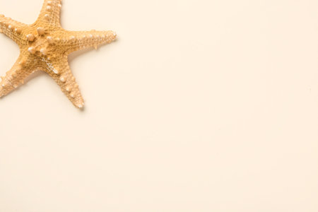 Beautiful starfish on beige backgroundの写真素材