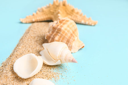 Sand with starfishes and seashells on blue background
