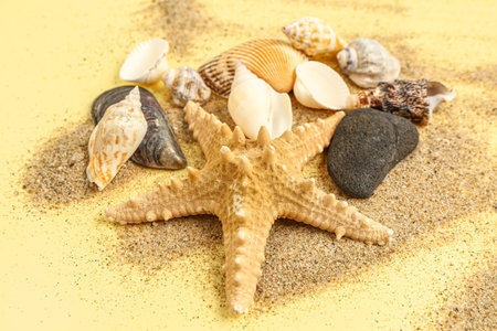 Sand with starfish and shells on light yellow background