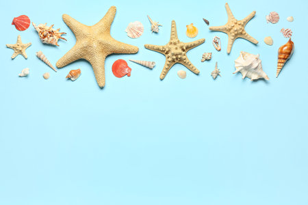 Seashells and starfishes on blue backgroundの写真素材