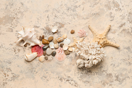 Seashells with coral and starfishes on grunge backgroundの写真素材