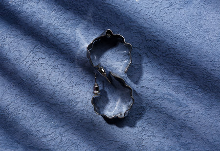 Beautiful earrings on blue grunge background