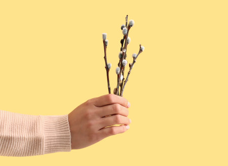 Woman with willow branches on yellow backgroundの写真素材