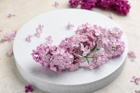 Stand with beautiful fragrant lilac flowers on grunge white backgroundの写真素材