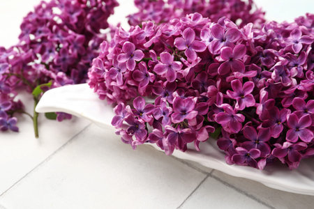 Plate of beautiful fragrant lilac flowers on white tileの写真素材