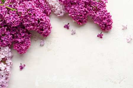 Beautiful fragrant lilac flowers on white textured backgroundの写真素材