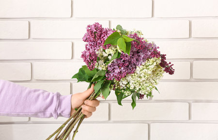 Female hand with bouquet of lilac flowers on white brick wall backgroundの写真素材