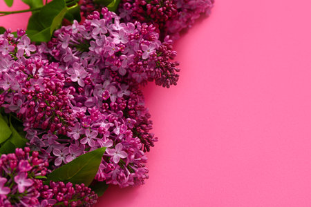 Beautiful fragrant lilac flowers on pink backgroundの写真素材