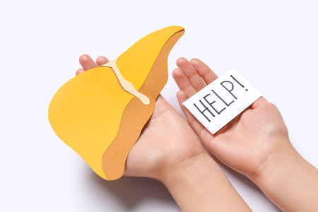 Female hands holding yellow paper liver with help inscription on white backgroundの写真素材