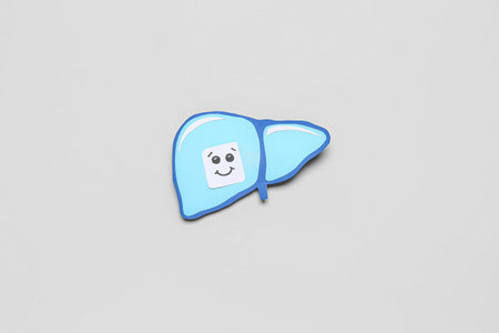 Blue paper liver with smiling face on gray backgroundの写真素材
