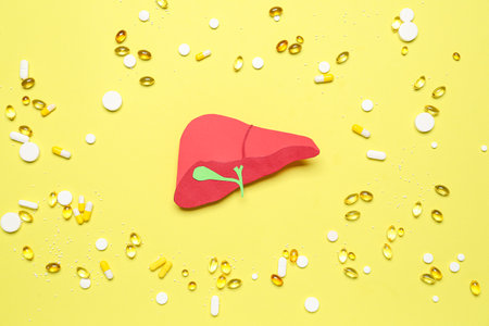 Red paper liver with pills on yellow backgroundの写真素材